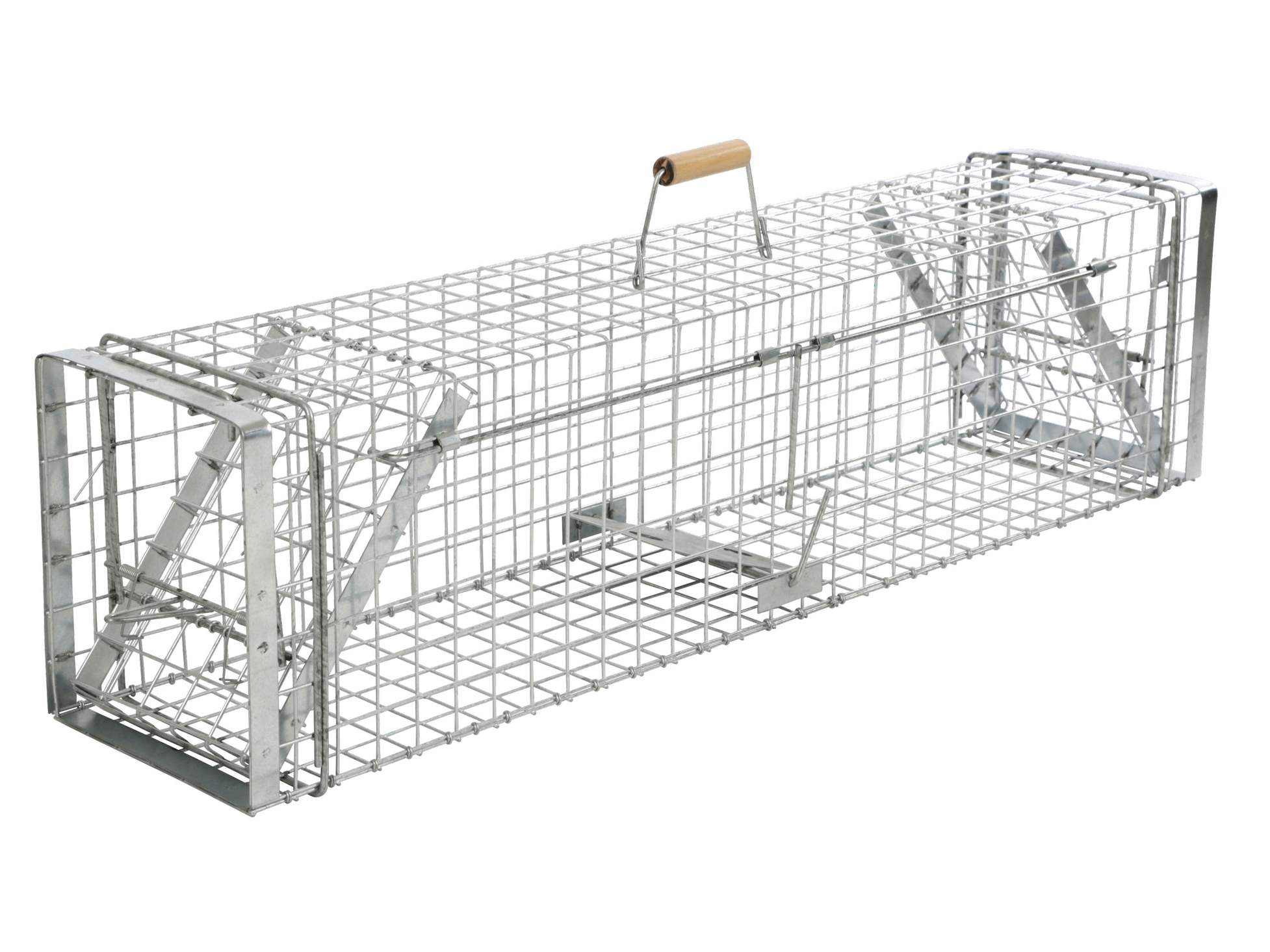 cit Box Trap Alive Predator Super