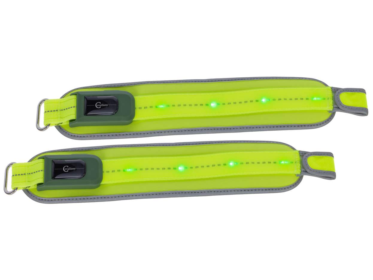 Leuchtgamasche LED