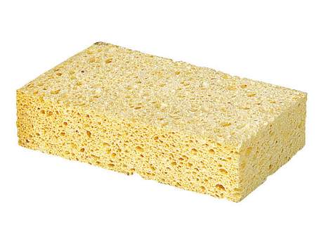 Sponge