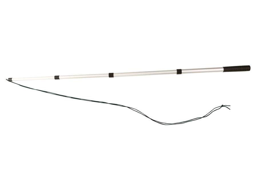 Playing Fishing Rod