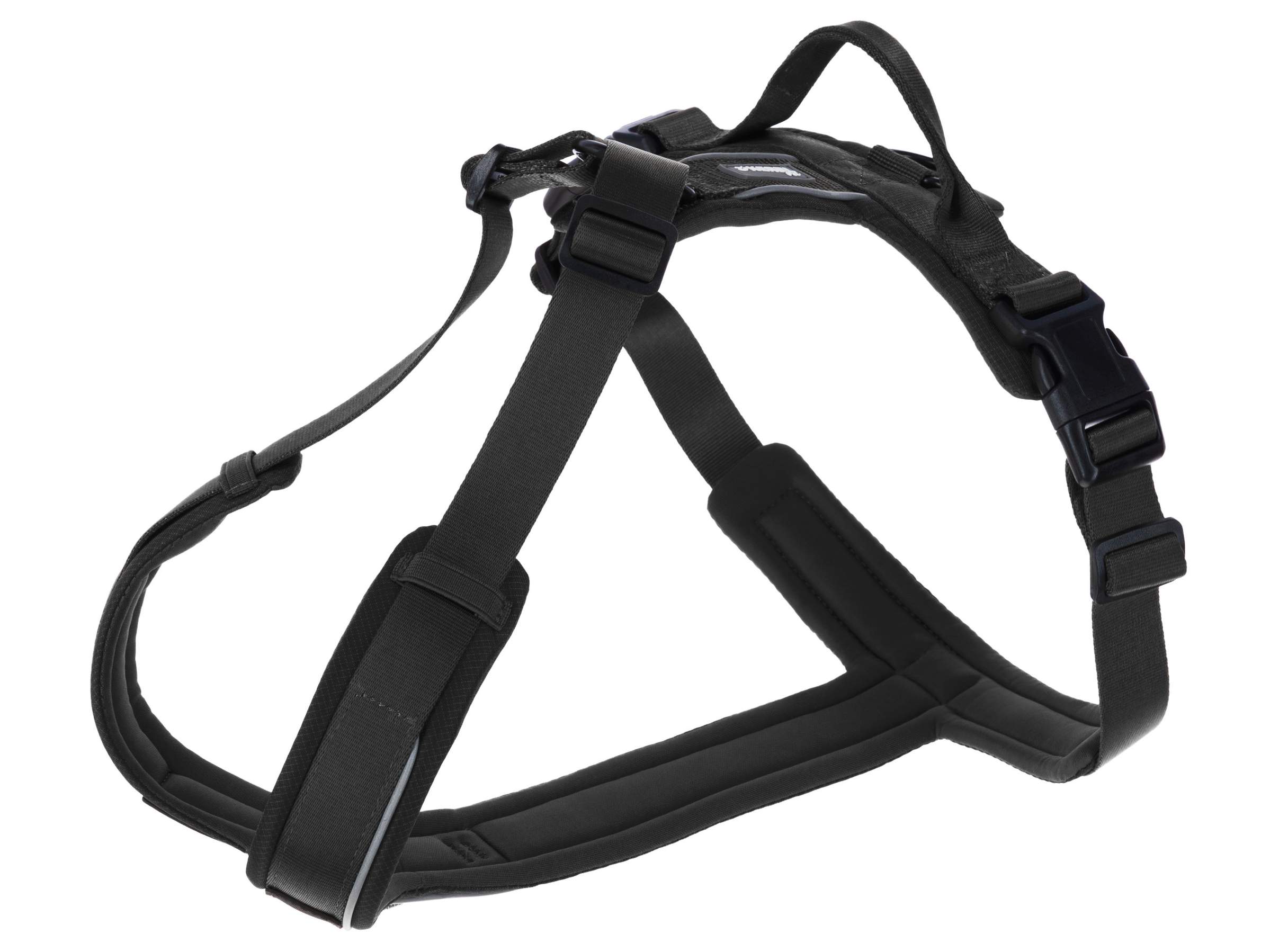 Harness Dallas