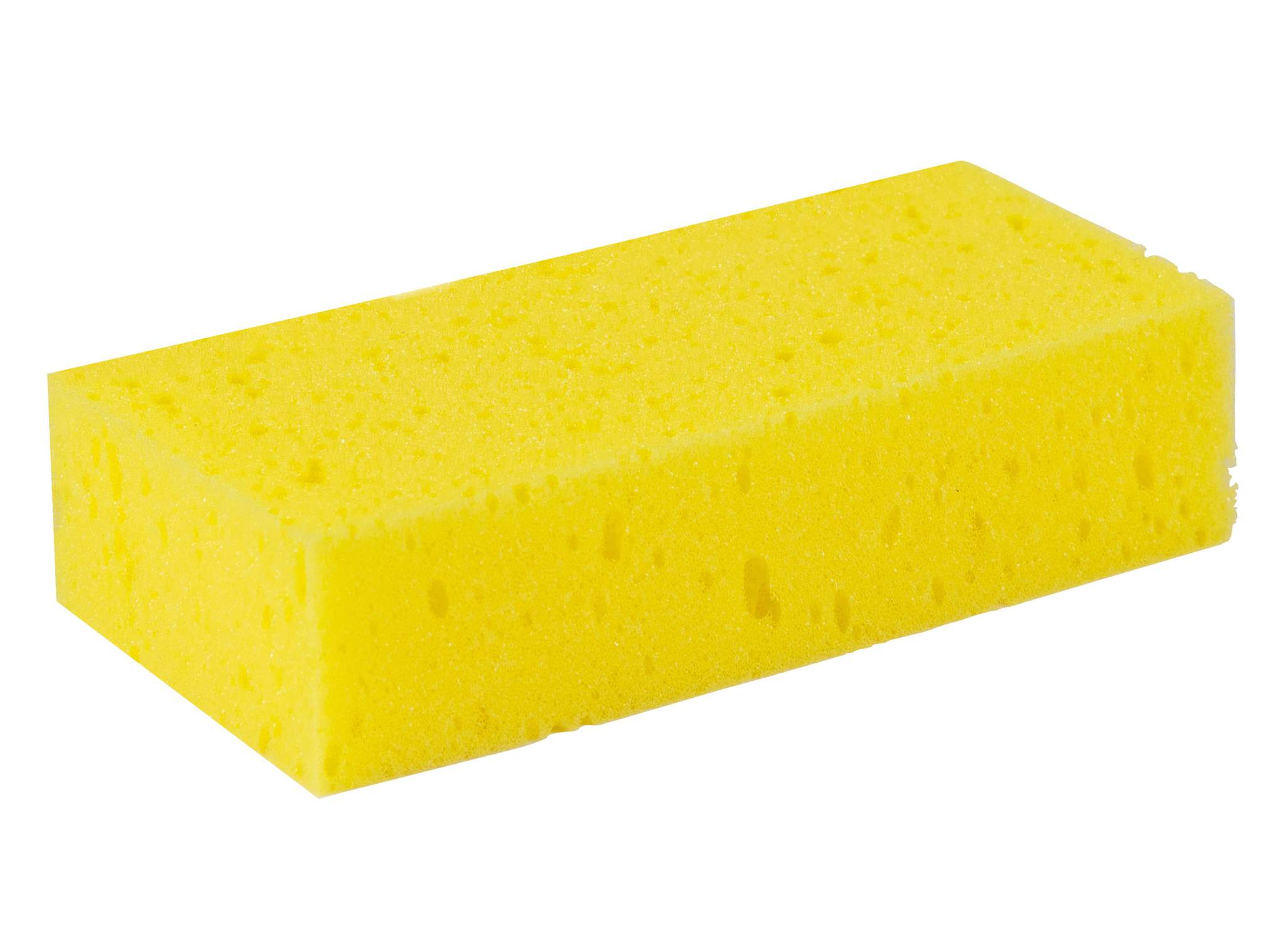 Sponge