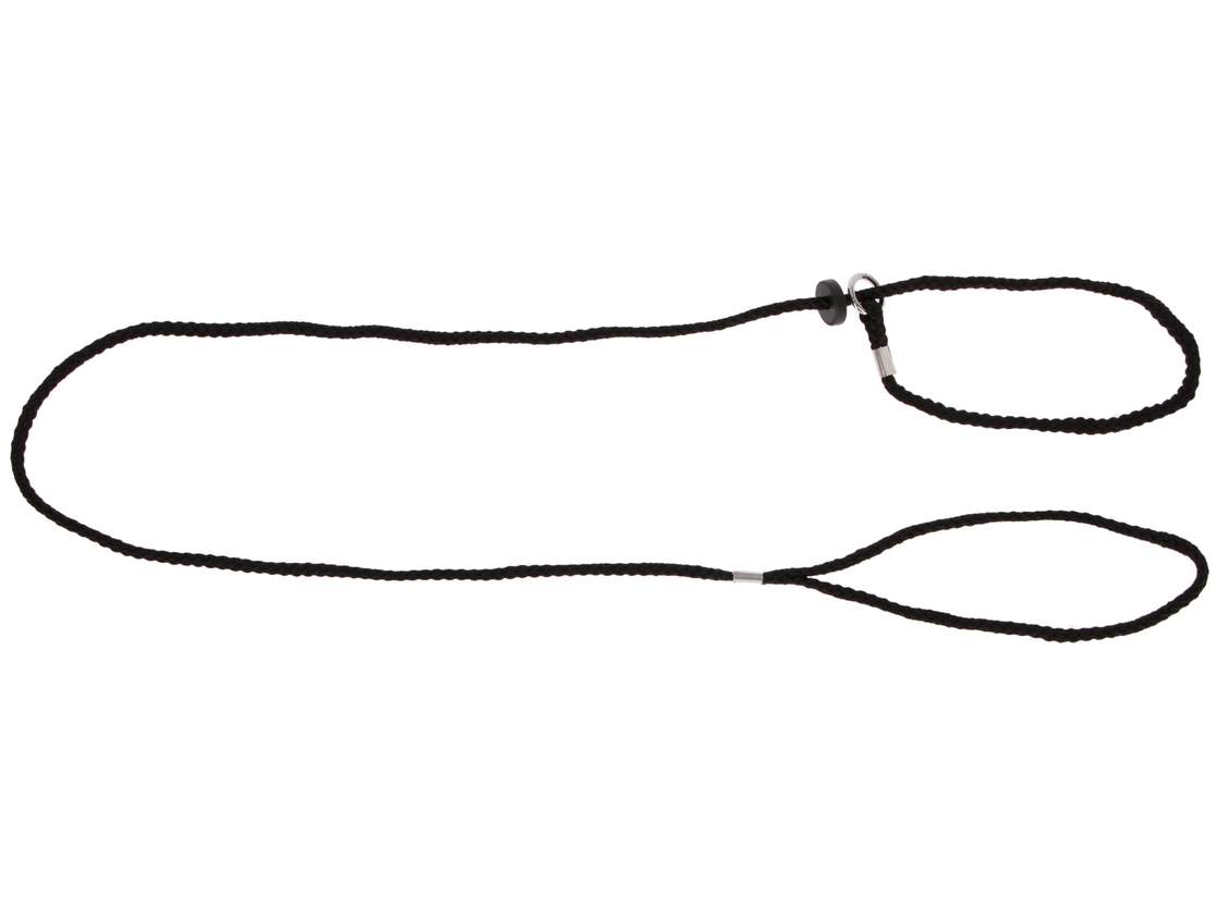 Training Leash