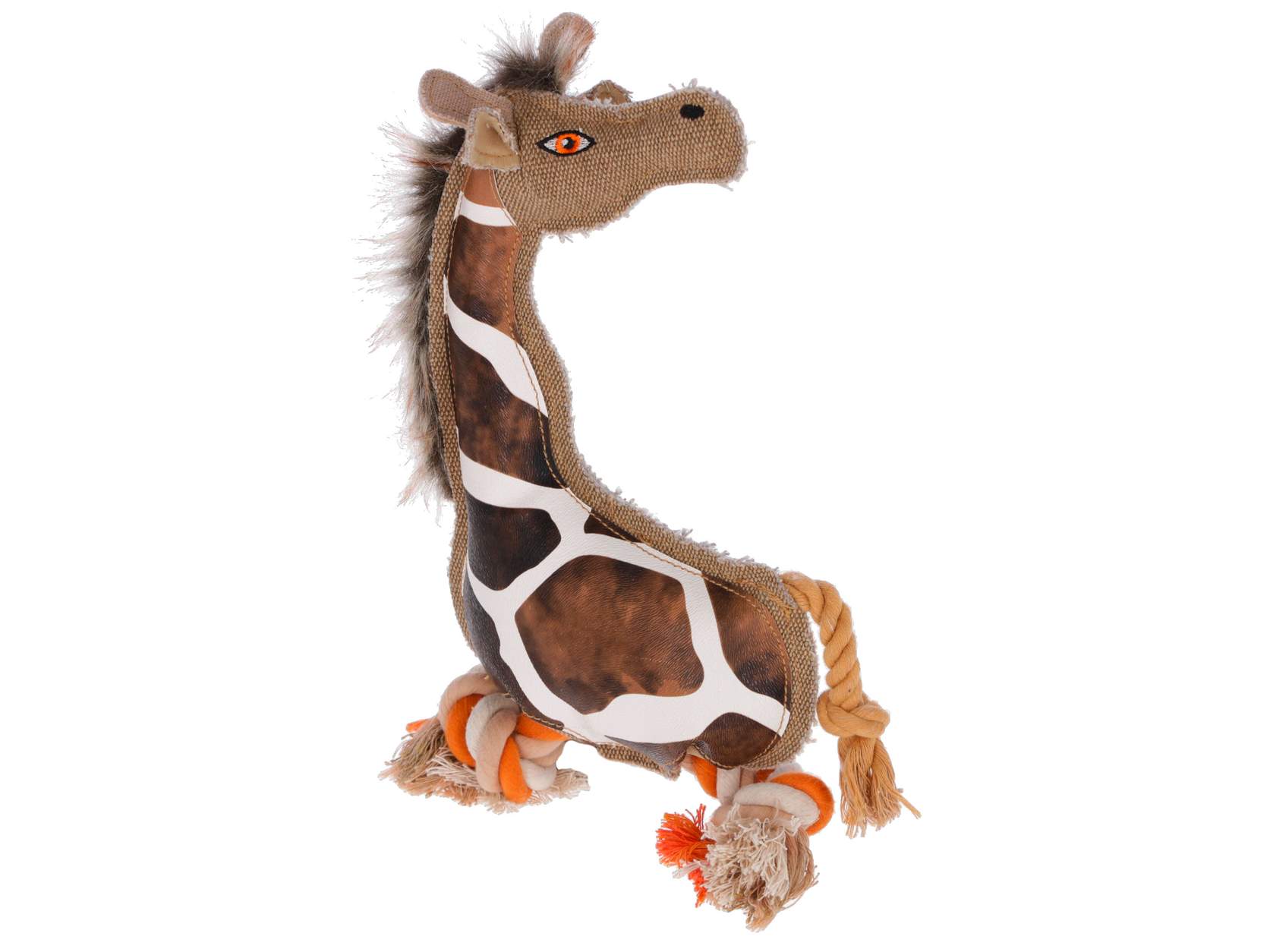 Giraffe Gina