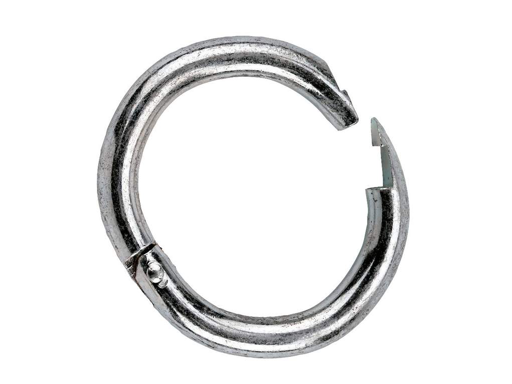 Schweinerüsselring