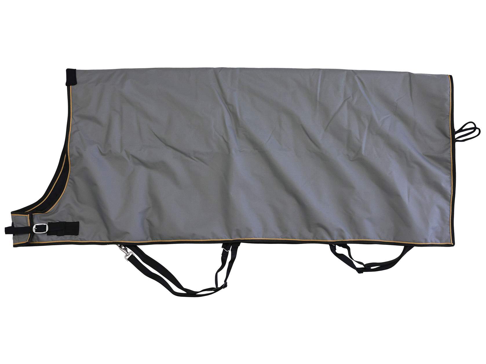 Cow Blanket