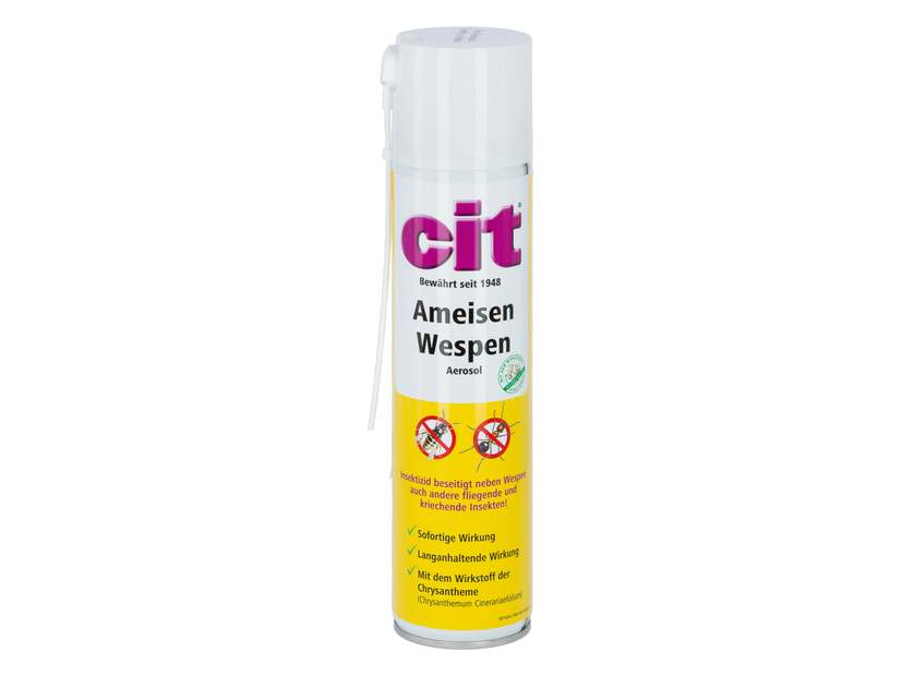 cit Ants-Wasps