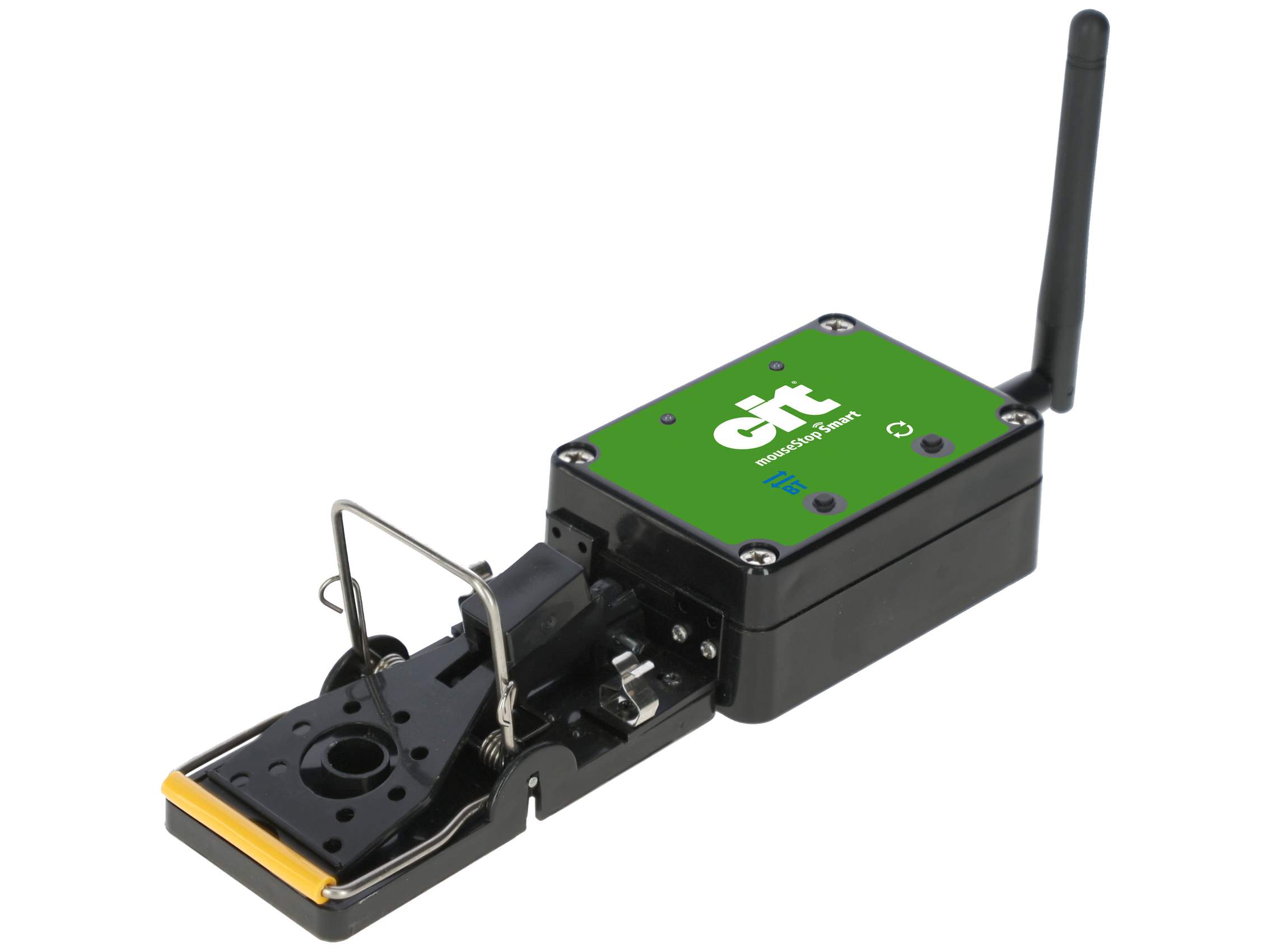 cit mouseStop Smart