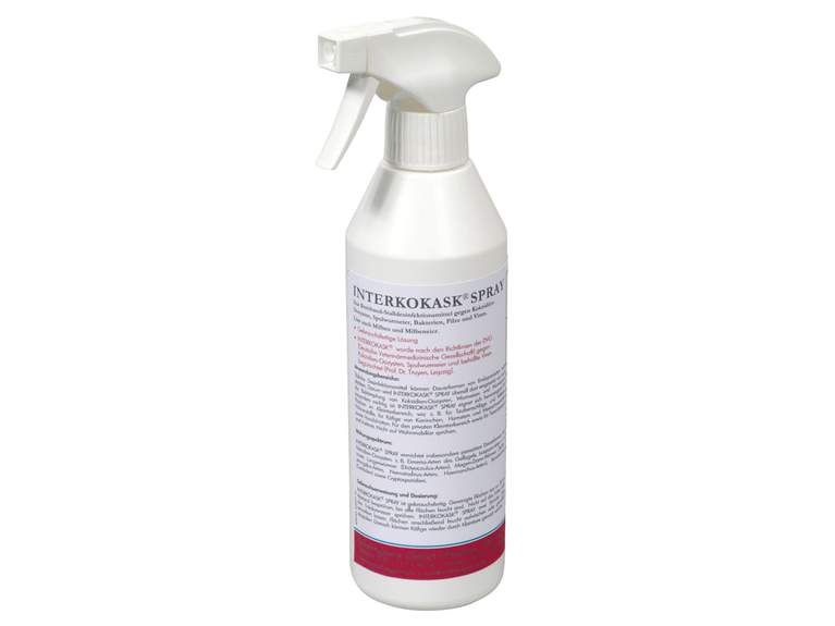 Disinfectant INTERKOKASK®