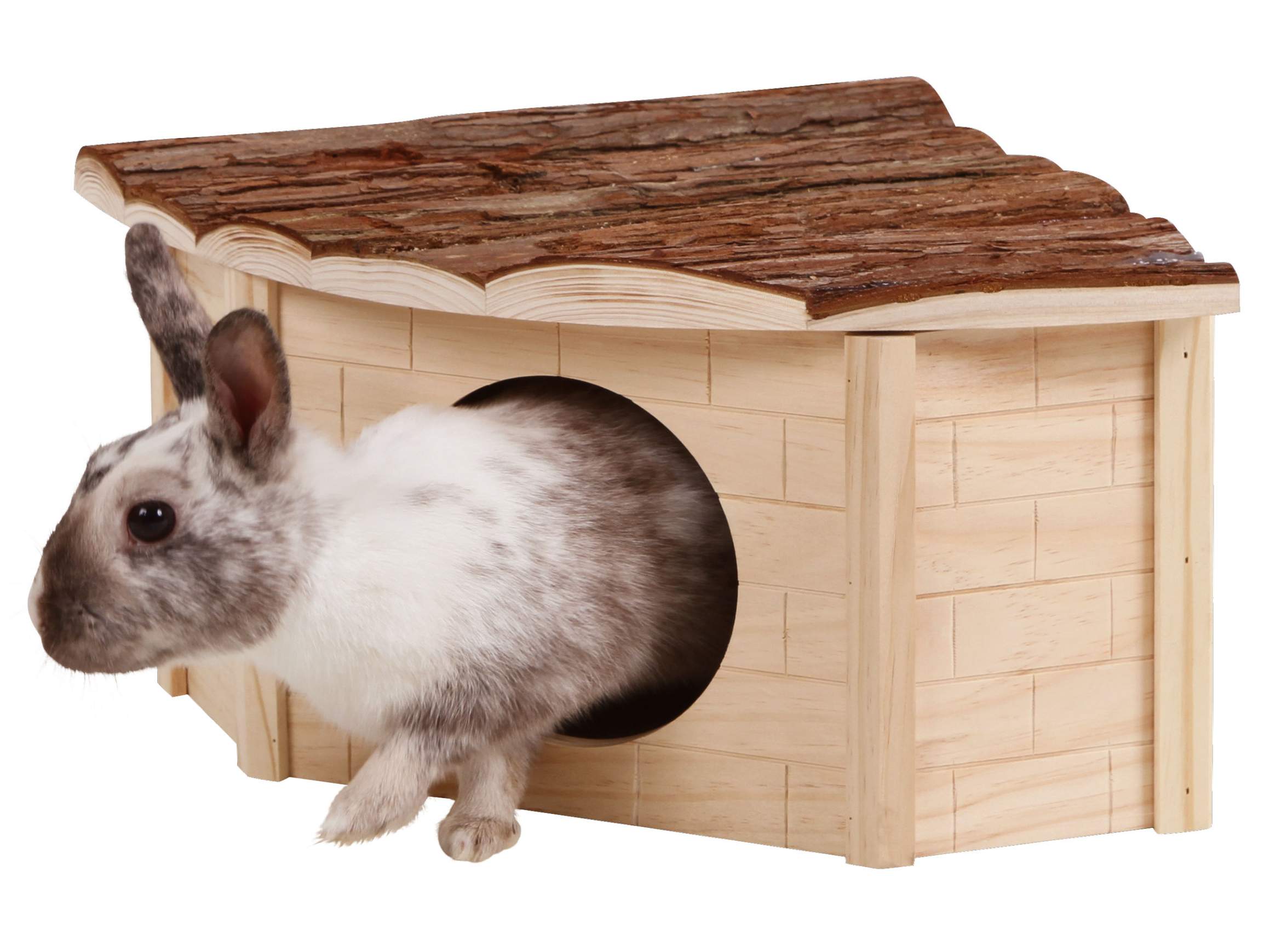 Corner House for Rodents Nature