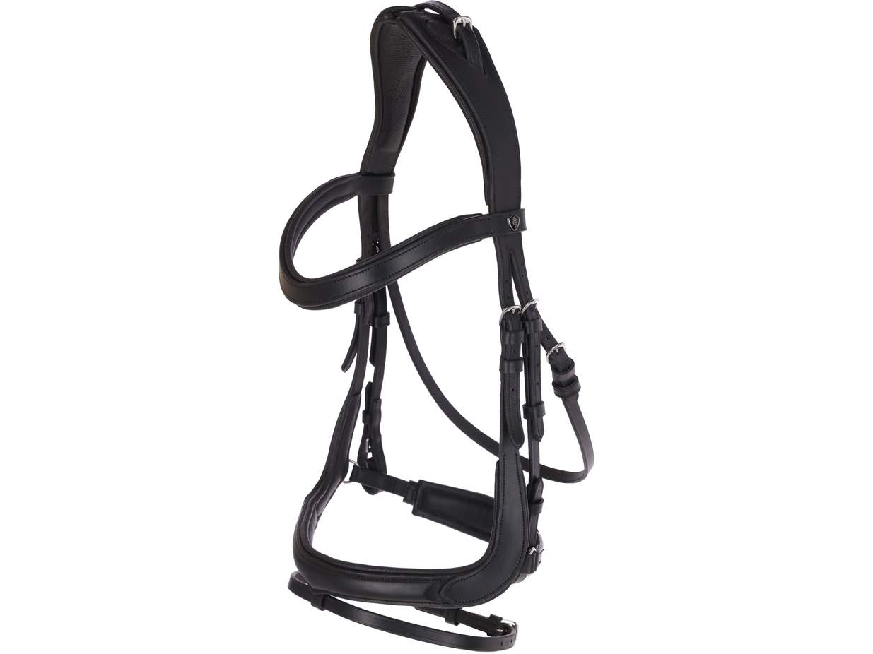 Snaffle Anatomic