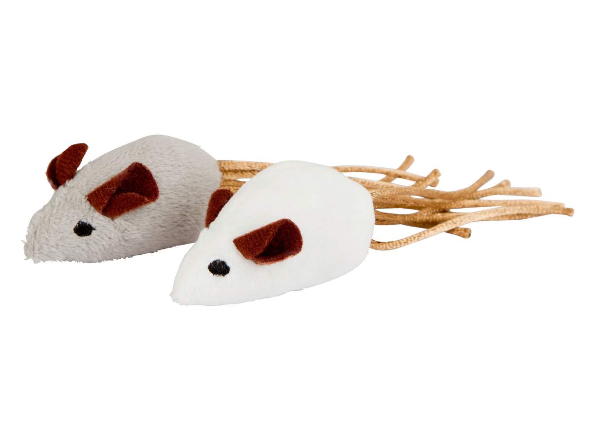 Maus
