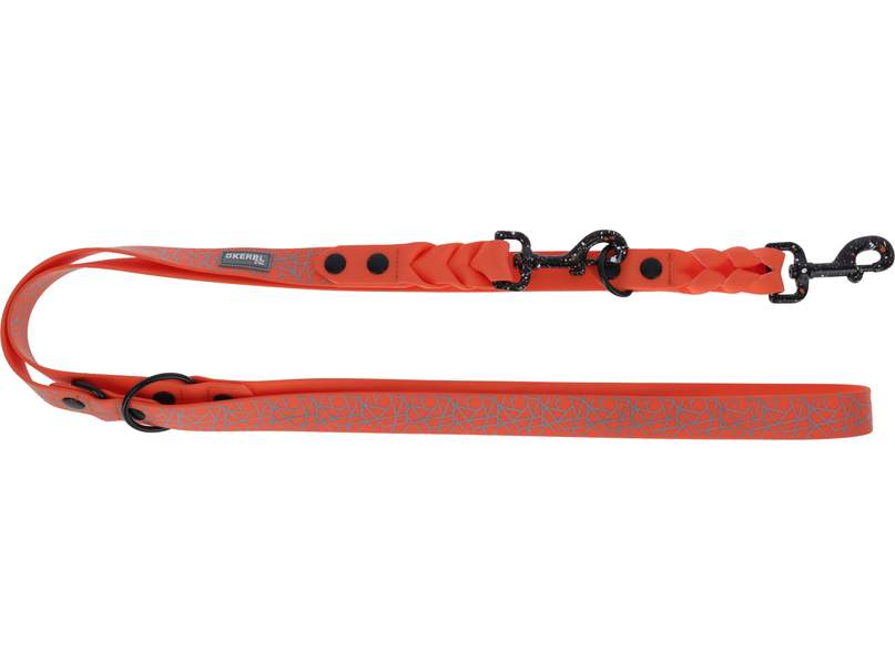 Training Leash Puno