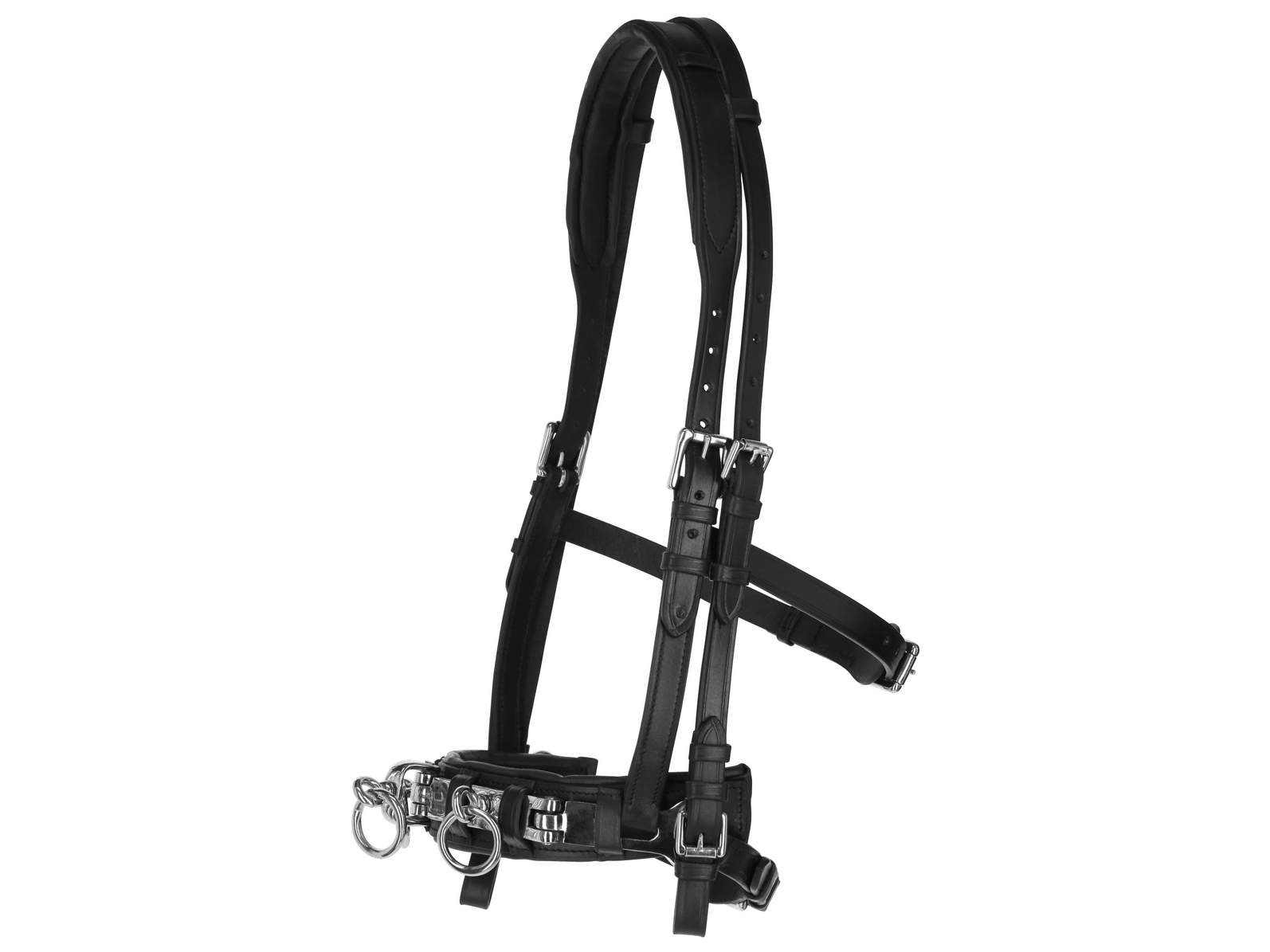 Cavesson Leather Exklusiv