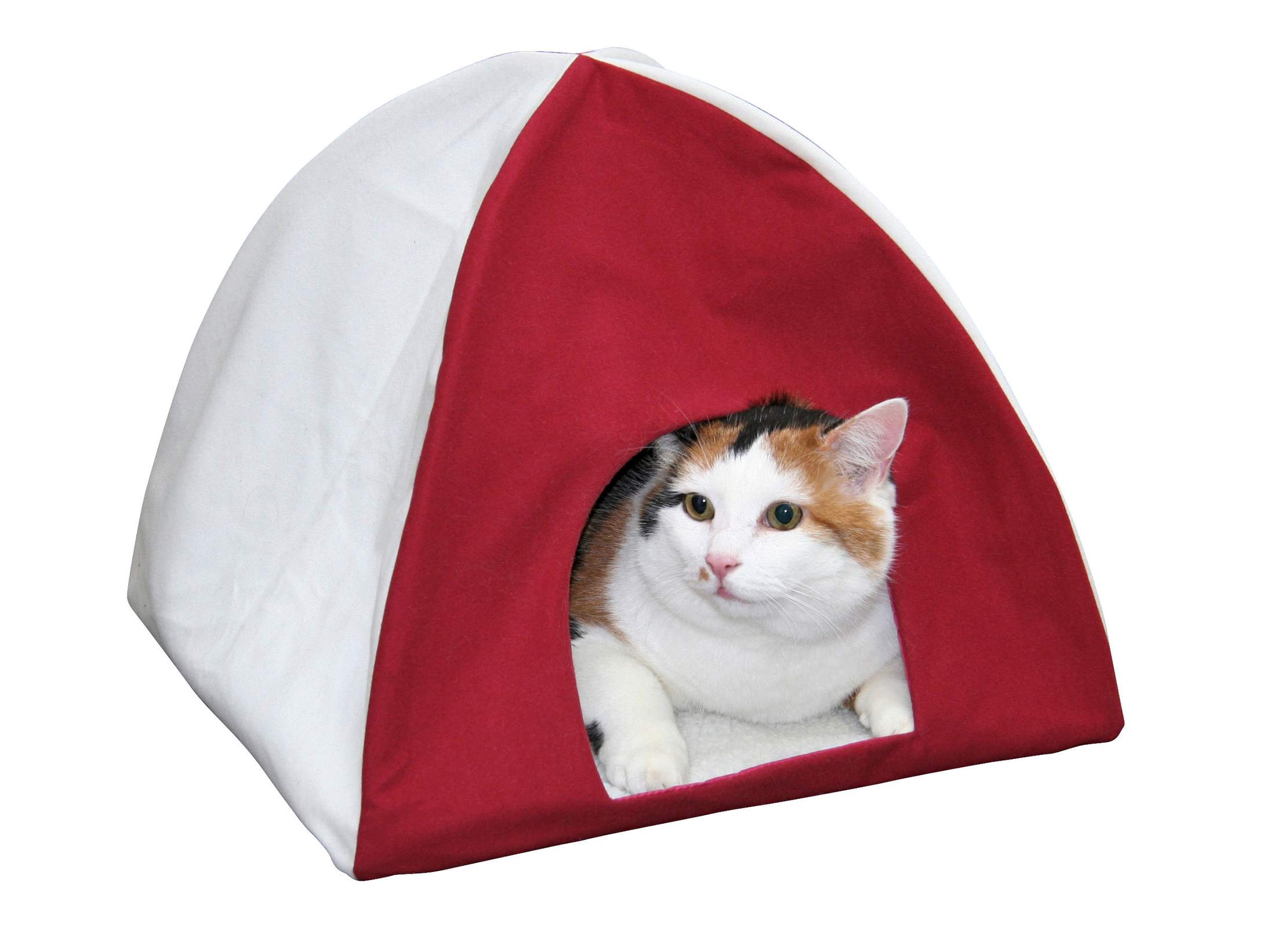 Cat Tent Tipi
