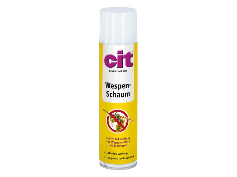 cit Wasp Foam - Image 1