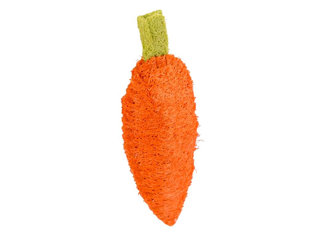 Loofah Carrot - Image 1