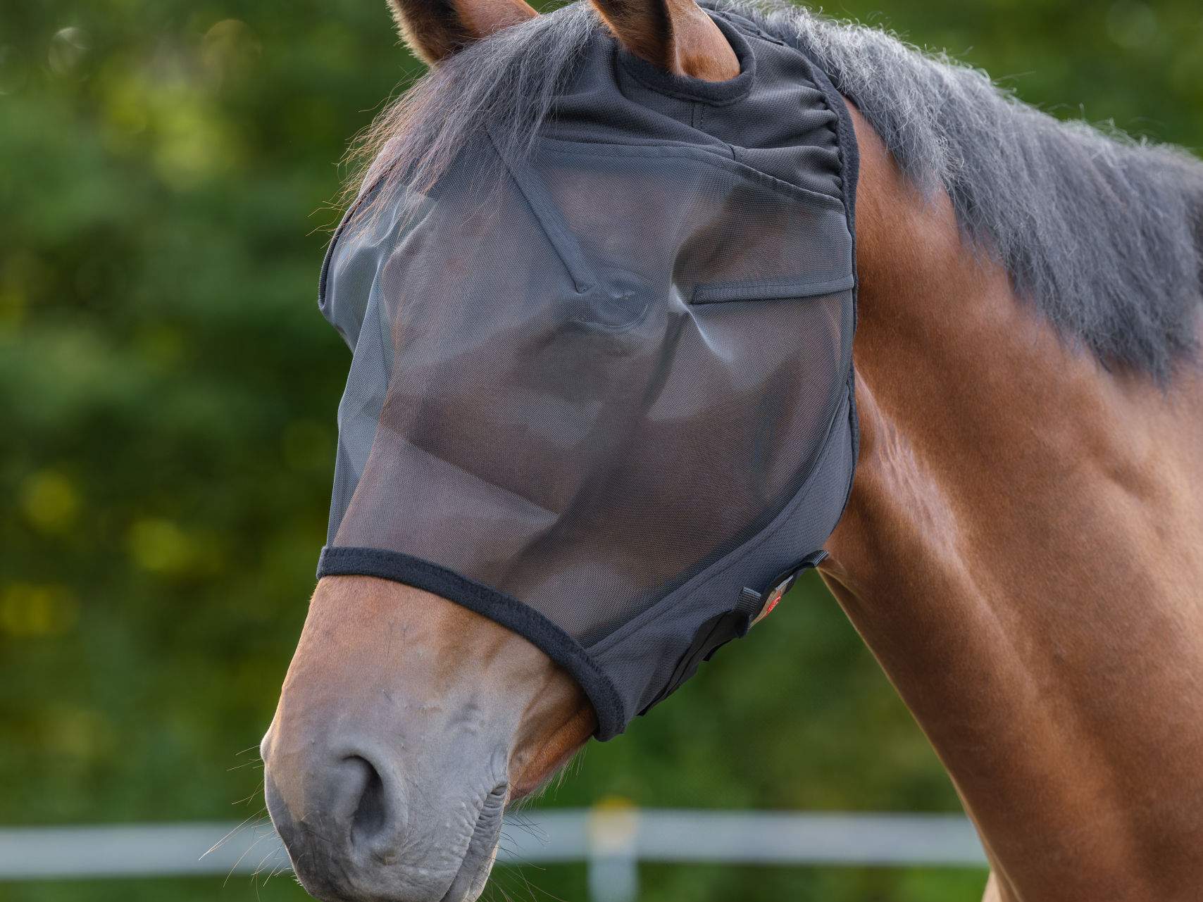 Fly Mask with Ear Cut-outs