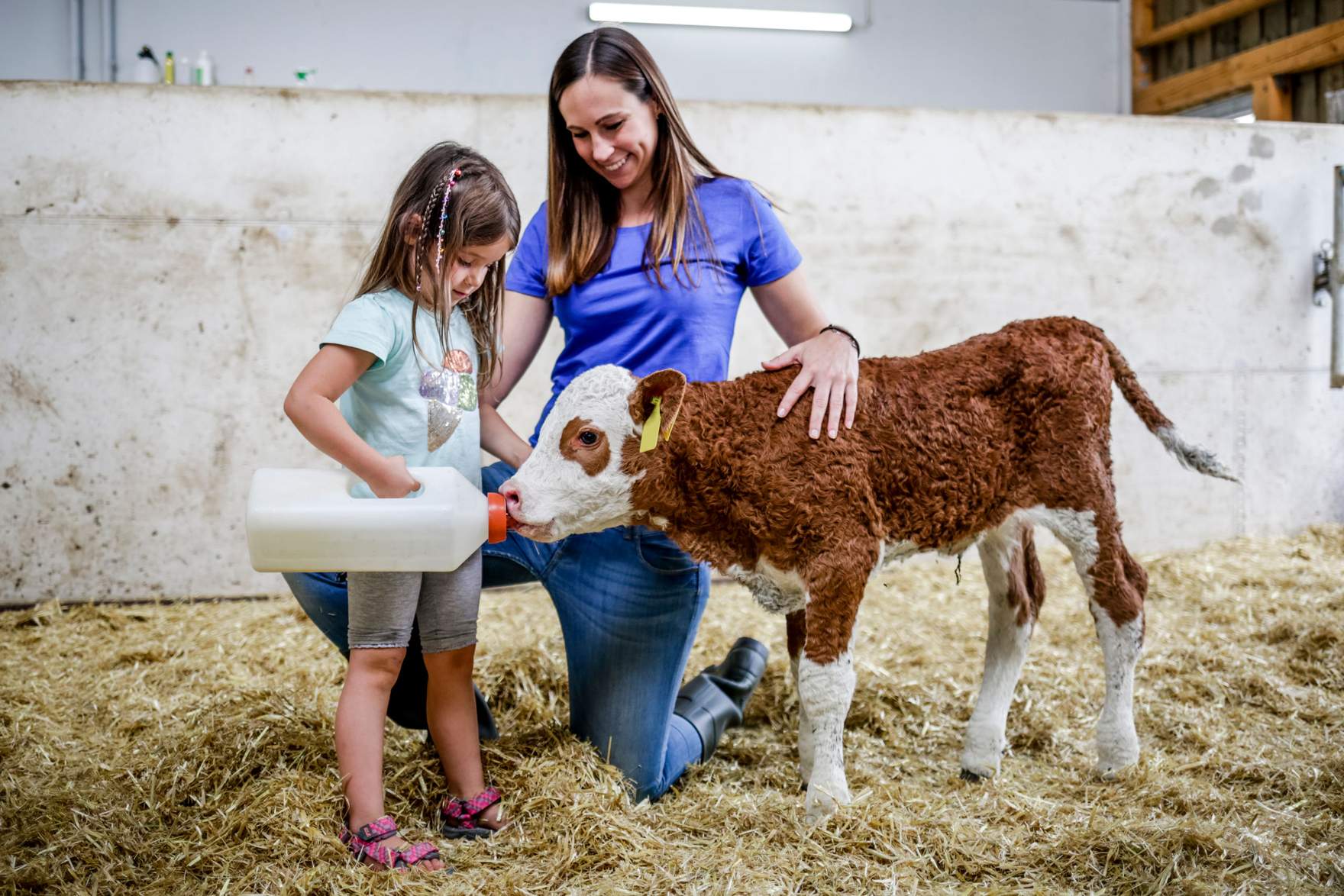 Kälberfütterung - Kind und Mutter füttern ein Kalb