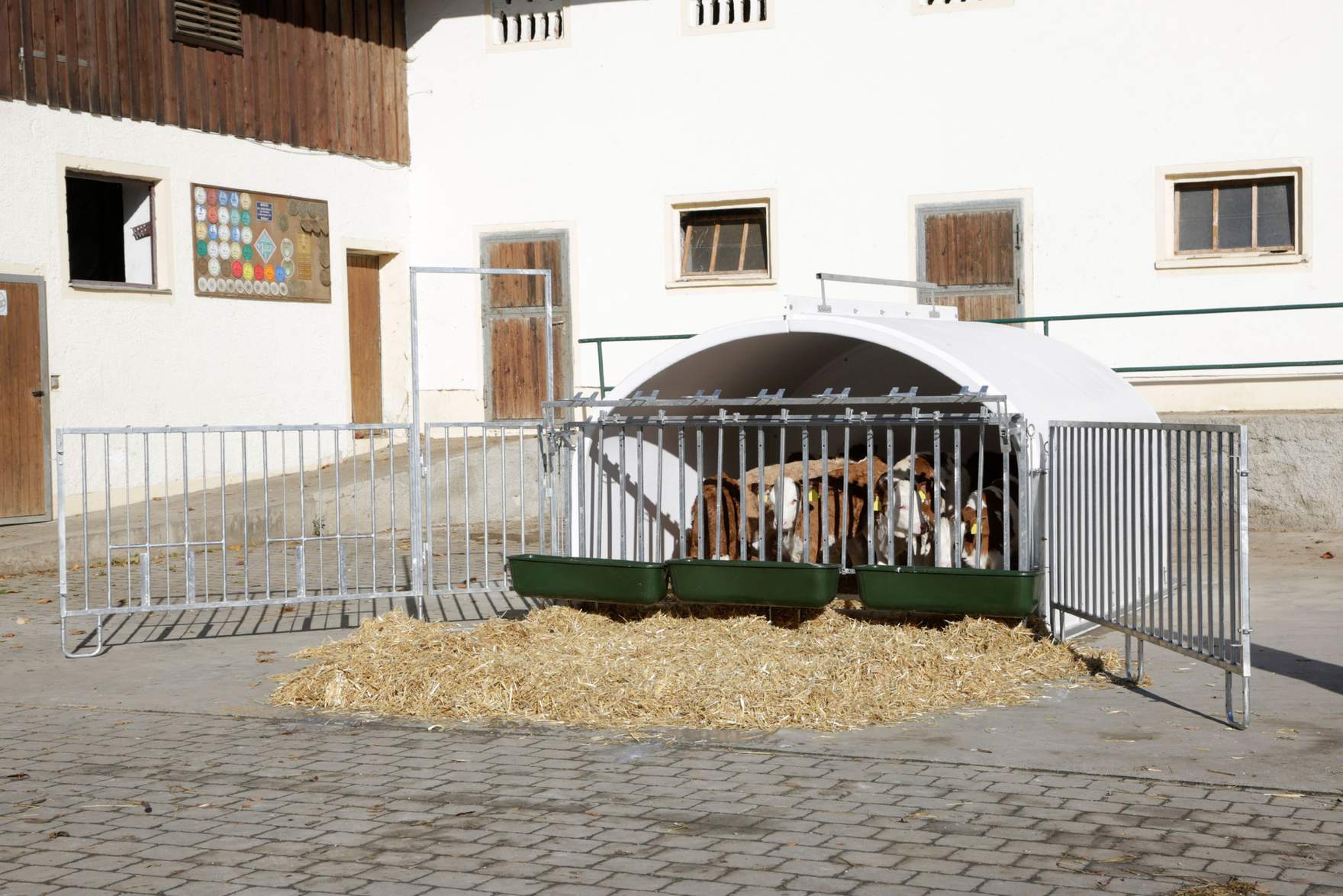 CalfHouse Premium XXL - bis 7 Kälber