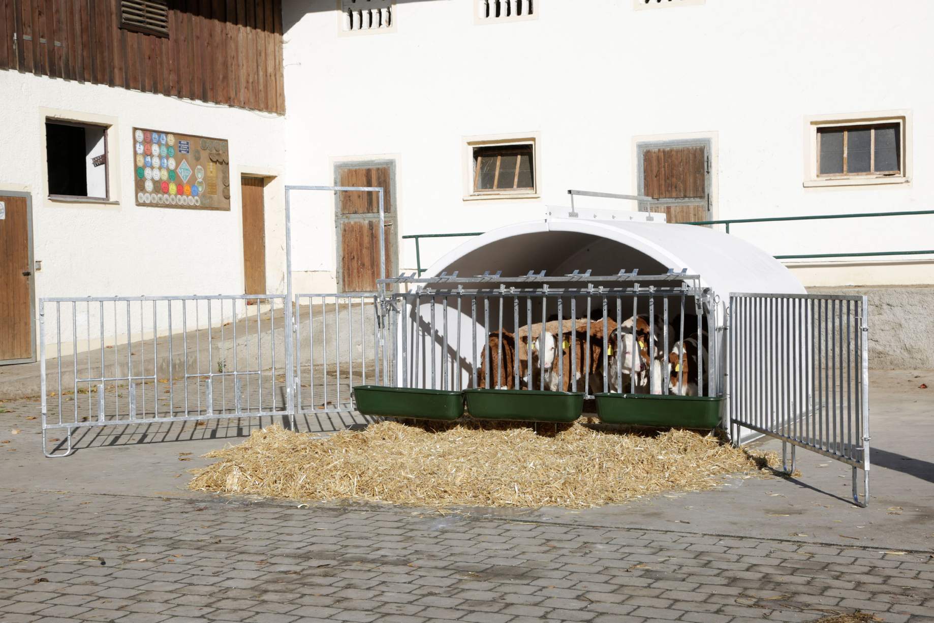 CalfHouse Premium XXL - bis 7 Kälber