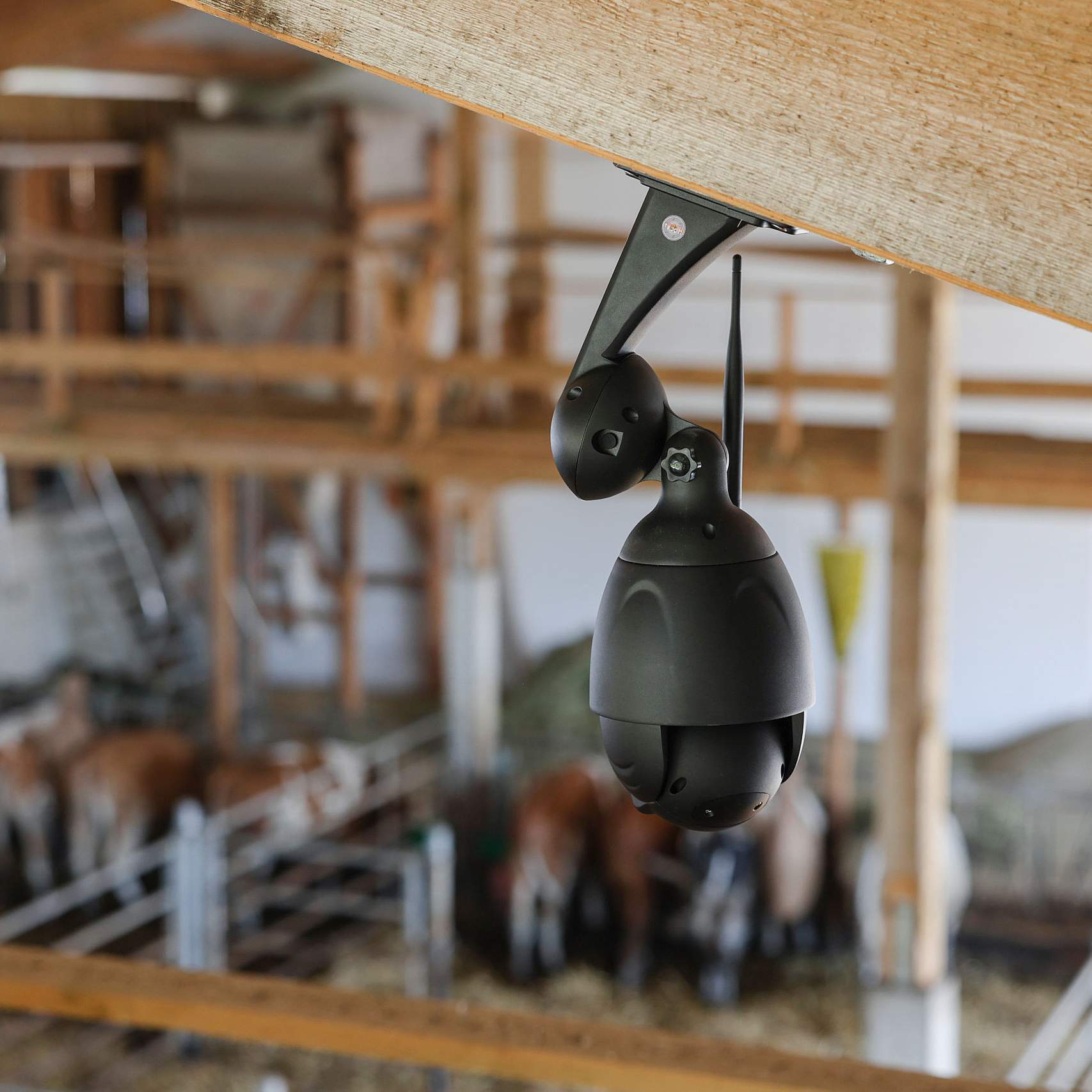 Kerbl IPCam 360 FHD
