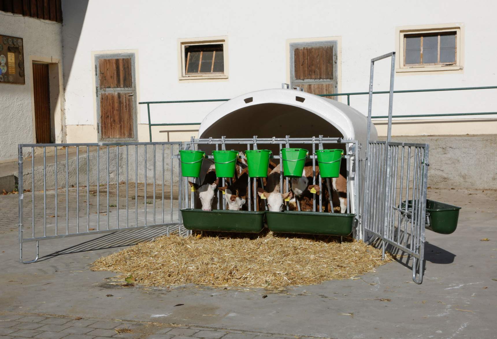 CalfHouse Premium XL - Fanggittersystem mit Eimer