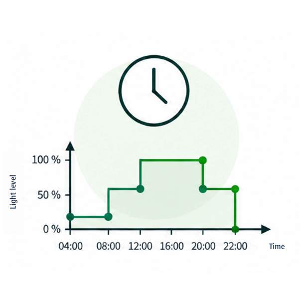 Infographic on fixed time and brightness programmes