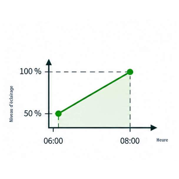 Infographie sur les dégradés de lumière doux