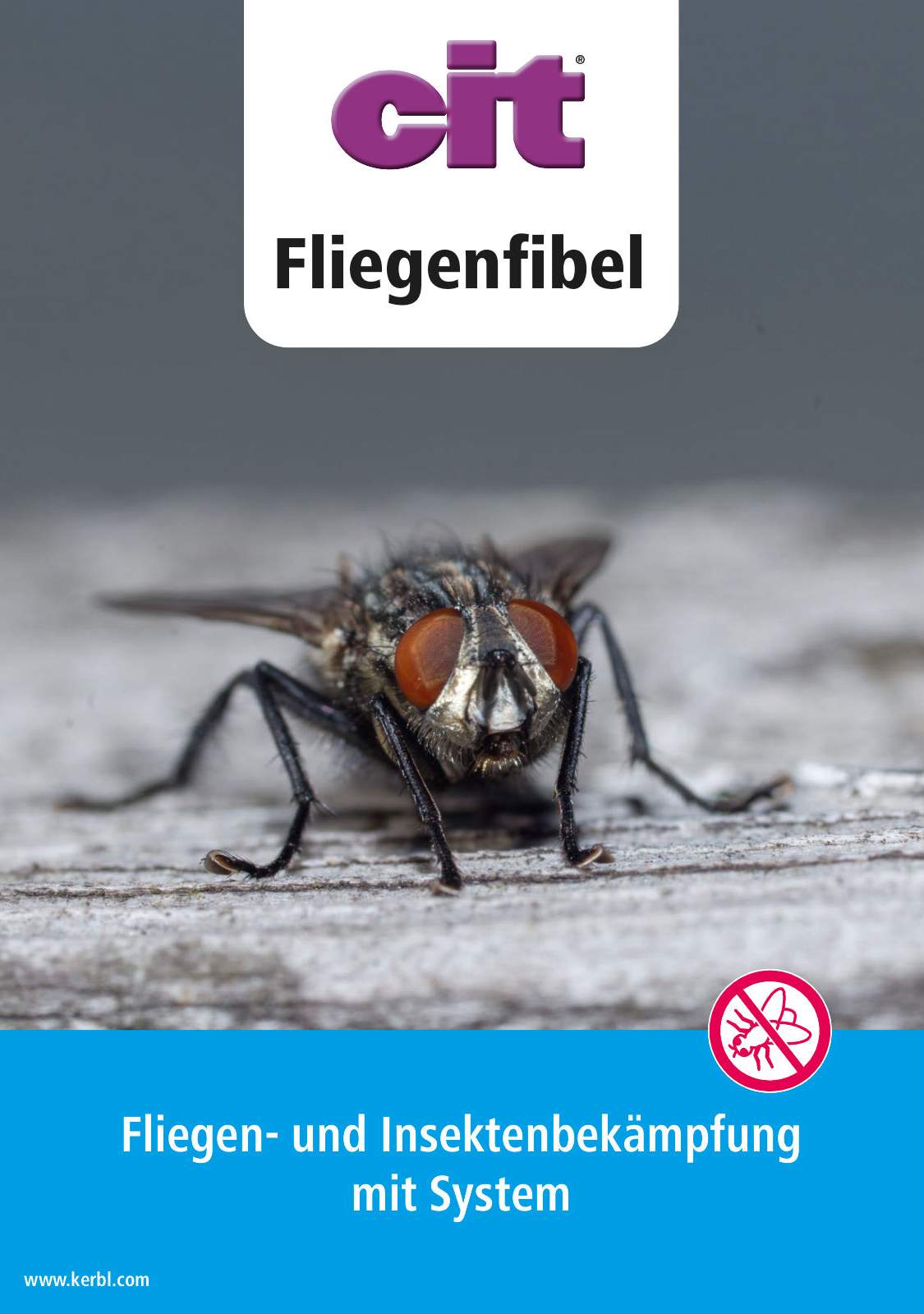 cit Fliegenfibel