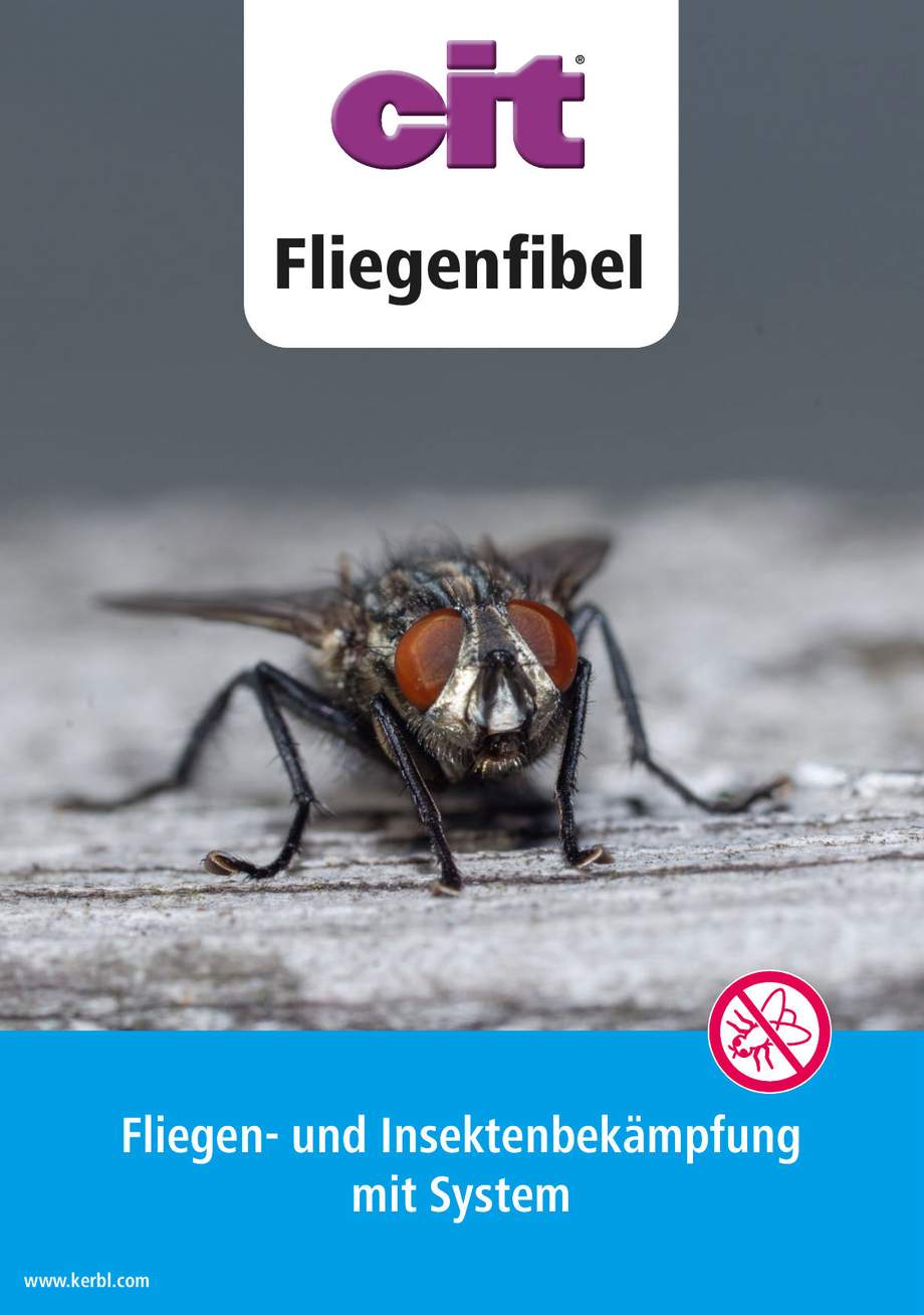 cit Fliegenfibel
