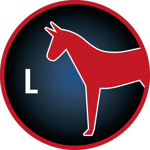 Groesse_L_Pferd_Kreis