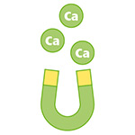 Ca Binder