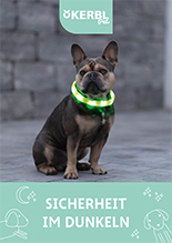 Vorschaubild Sicherheit im Dunkeln