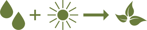 Biologisch abbaubar Pictogramme
