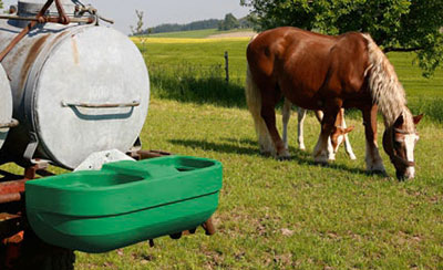 Pferd auf der Weide neben Pferdetränke