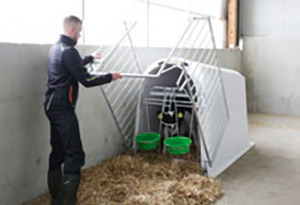 Umzäunung kann zur Reinigung des Vorplatzes über die Kälberhütte geklappt werden