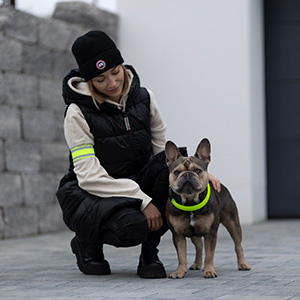 Banner Sicherheit im Dunkeln für den Hundehalter auf dem abendlichen Spaziergang