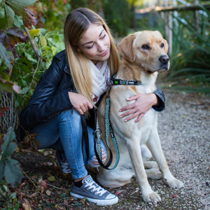 Leuchtende und reflektierende Hunde-Halsbänder