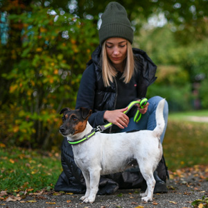 Sicherer Spaziergang mit dem Hund