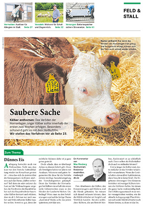 erste Seite Erfahrungsbericht von Riesberg, Max (2019): Saubere Sache – Kälber enthornen. In: Bayrisches Landwirtschaftliches Wochenblat