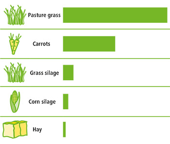 Beta carotene dry matter
