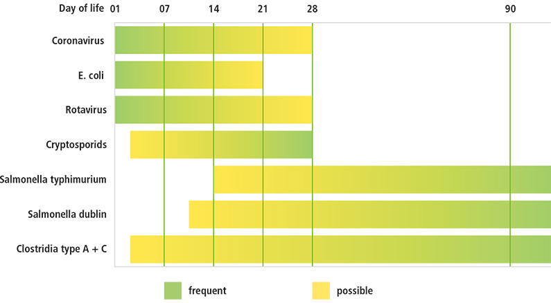 diarrhoea pathogen graphic
