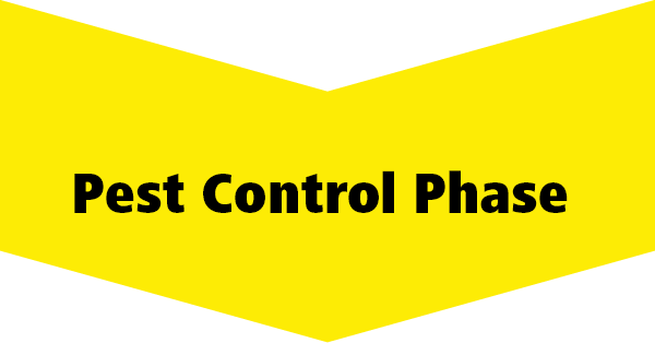 Control Phase Pest Control