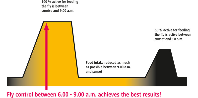 Fly control timing graphic