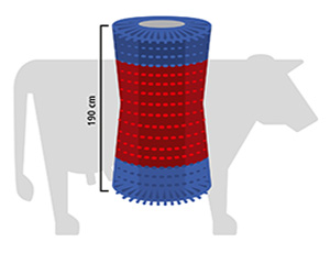 Kuhputzmaschine HAPPYCOW MaxiSwing