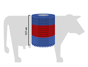 Kuhputzmaschine HAPPYCOW MidiSwing