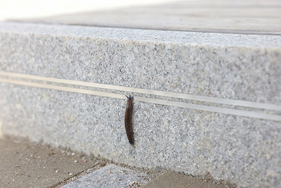 SnailStop angebracht auf Untergrund Stein