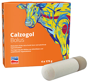 Calzogol Bolus für Milchfieber Prophylaxe