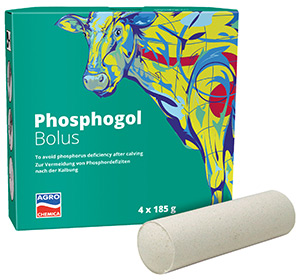 Phosphogol Bolus für Milchfieber Prophylaxe